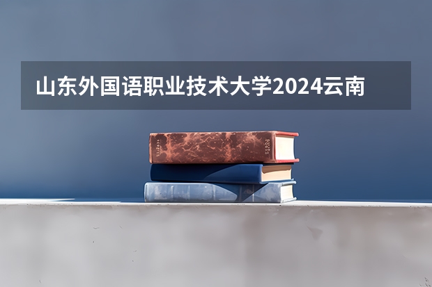 山东外国语职业技术大学2024云南高考招生计划详解