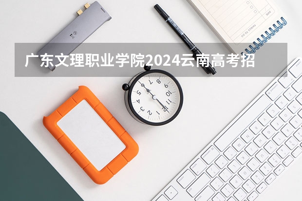 广东文理职业学院2024云南高考招生计划详解