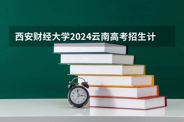 西安财经大学2024云南高考招生计划详解