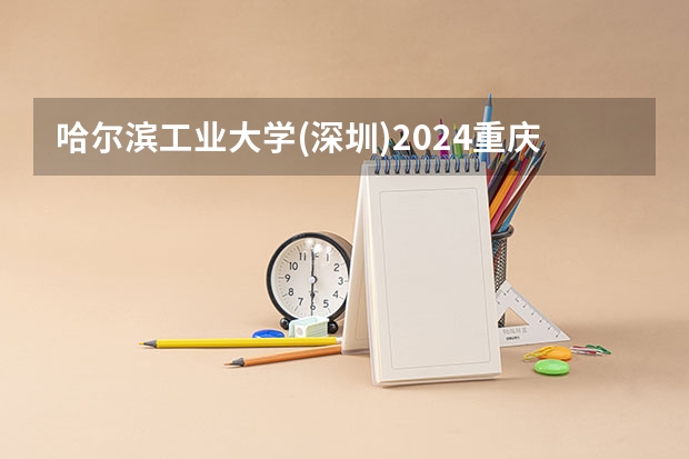 哈尔滨工业大学(深圳)2024重庆高考招生计划详解