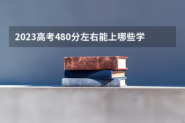 2023高考480分左右能上哪些学校