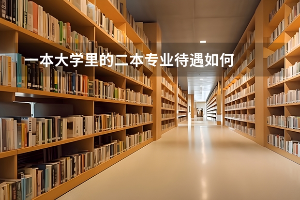 一本大学里的二本专业待遇如何