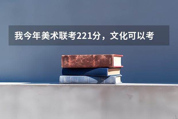 我今年美术联考221分，文化可以考到300分左右，请问省外有那些二本学校可以上 艺术类补录问题