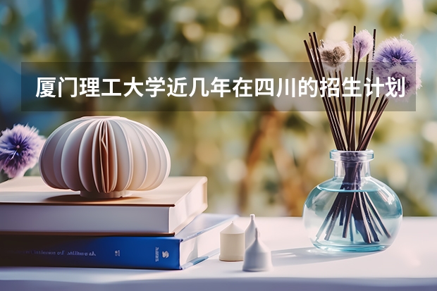 厦门理工大学近几年在四川的招生计划及分数线是多少？
