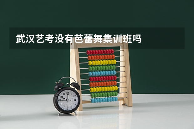 武汉艺考没有芭蕾舞集训班吗