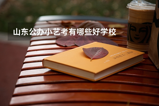 山东公办小艺考有哪些好学校