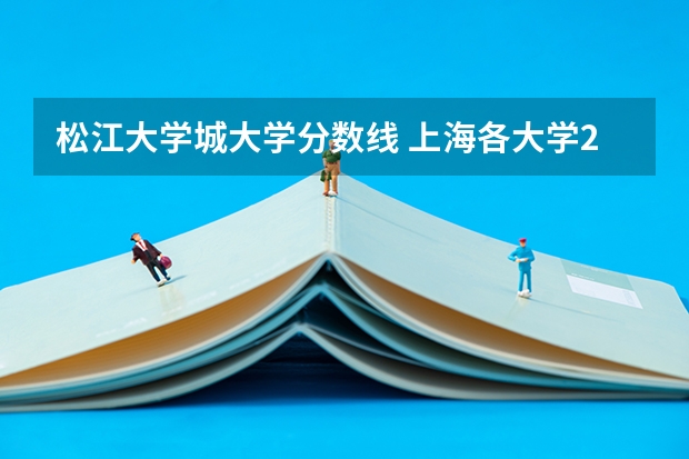 松江大学城大学分数线 上海各大学2023年录取分数线