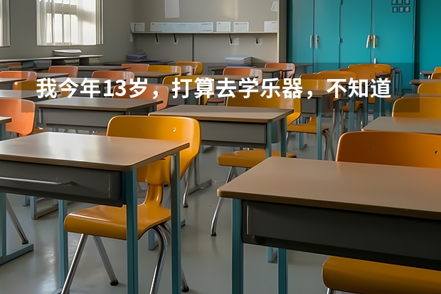 我今年13岁，打算去学乐器，不知道是学钢琴好，还是小提琴，还是古筝。高考加分是哪个加的多，以后进入