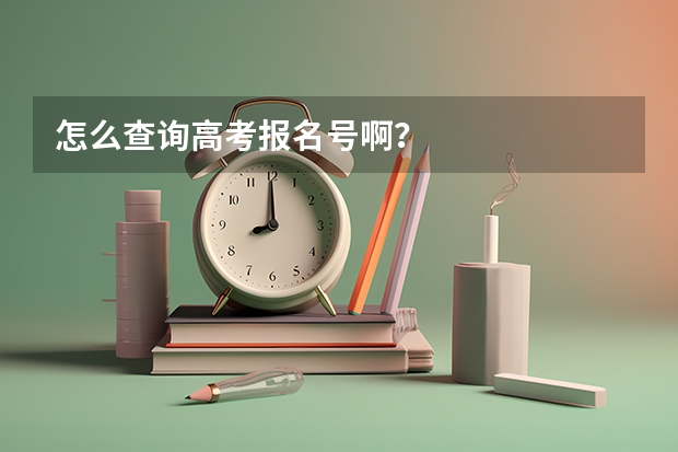 怎么查询高考报名号啊？