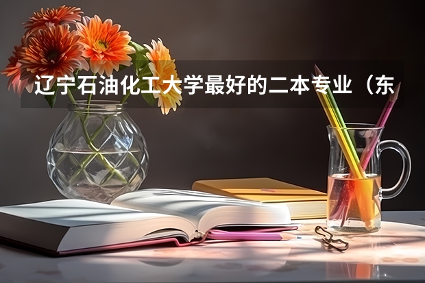 辽宁石油化工大学最好的二本专业（东北石油大学是一本还是二本）