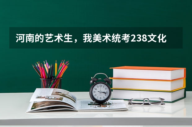 河南的艺术生，我美术统考238文化分400左右，能上什么大学啊