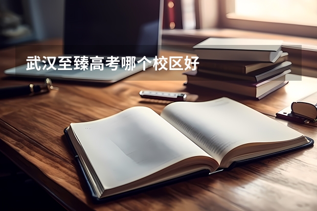 武汉至臻高考哪个校区好