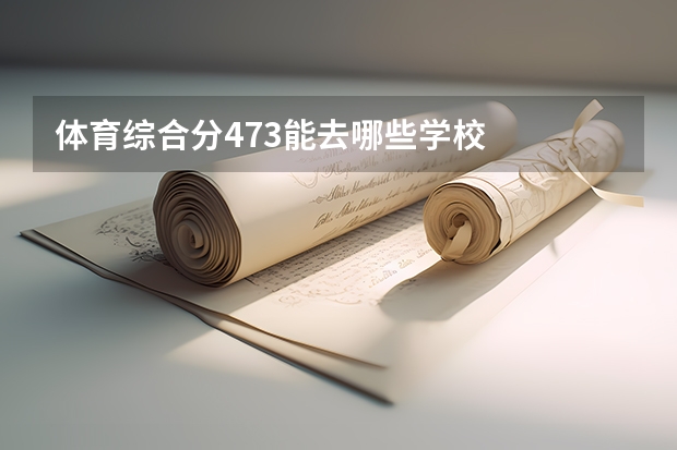 体育综合分473能去哪些学校