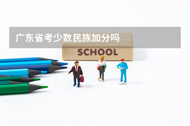 广东省考少数民族加分吗