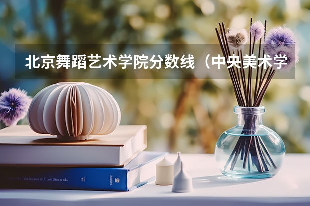 北京舞蹈艺术学院分数线（中央美术学院分数线2023）