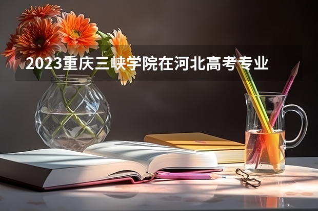 2023重庆三峡学院在河北高考专业招生计划人数