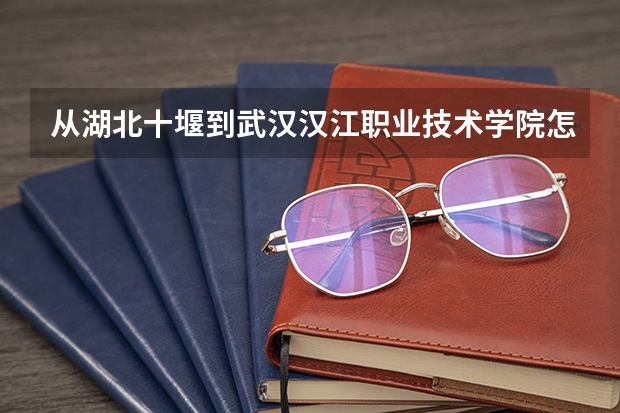 从湖北十堰到武汉汉江职业技术学院怎么走公共交通