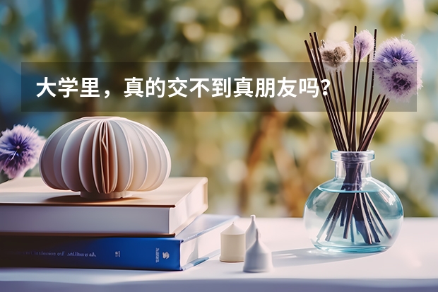 大学里，真的交不到真朋友吗？