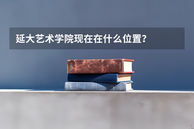 延大艺术学院现在在什么位置？