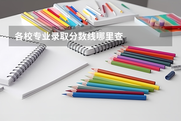 各校专业录取分数线哪里查