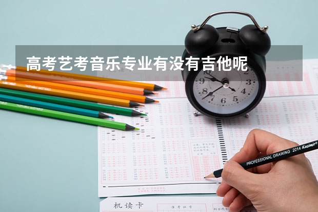 高考艺考音乐专业有没有吉他呢