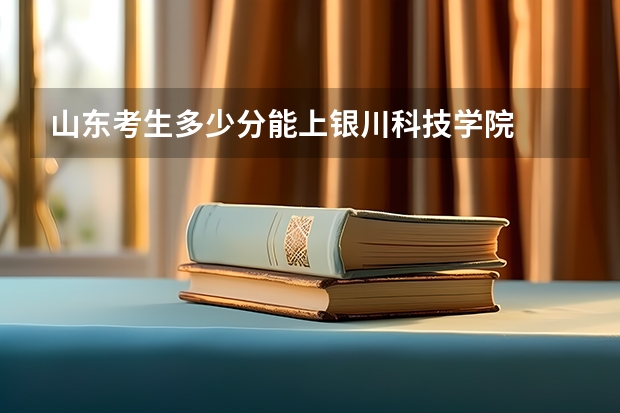 山东考生多少分能上银川科技学院
