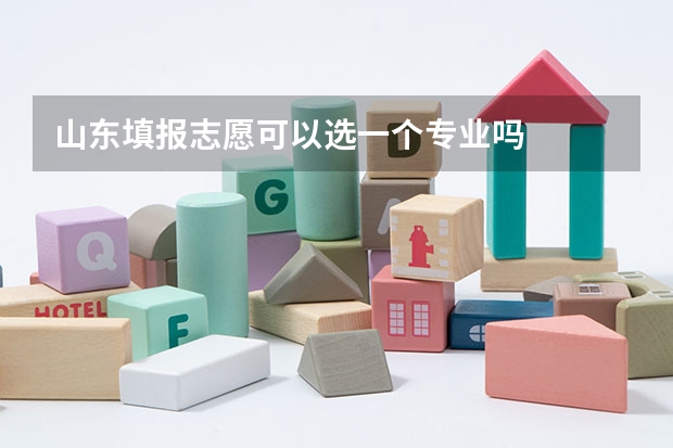 山东填报志愿可以选一个专业吗