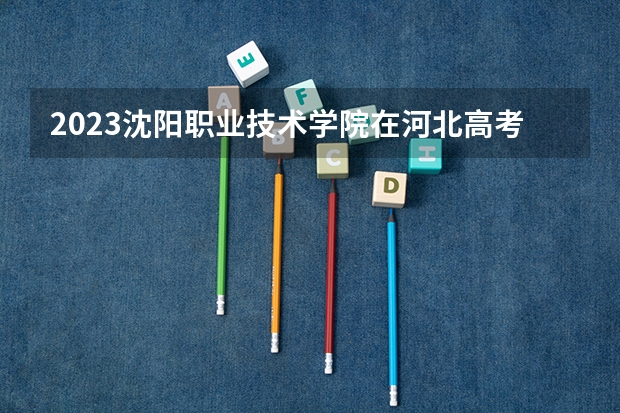 2023沈阳职业技术学院在河北高考专业招生计划人数