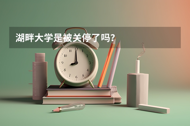 湖畔大学是被关停了吗？