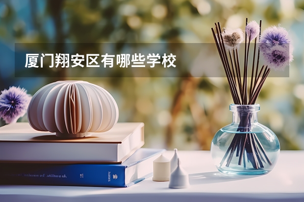 厦门翔安区有哪些学校