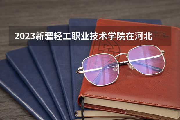 2023新疆轻工职业技术学院在河北高考专业招生计划人数