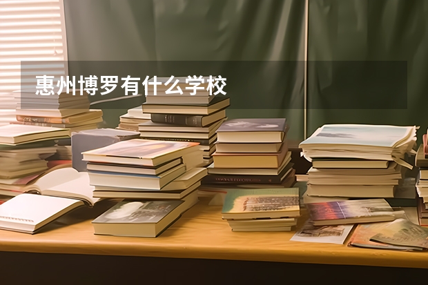 惠州博罗有什么学校