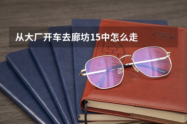 从大厂开车去廊坊15中怎么走