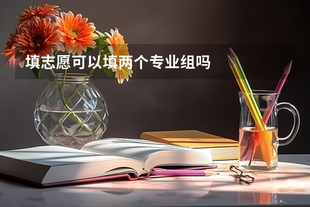 填志愿可以填两个专业组吗