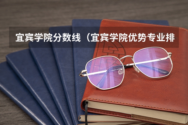宜宾学院分数线（宜宾学院优势专业排名）