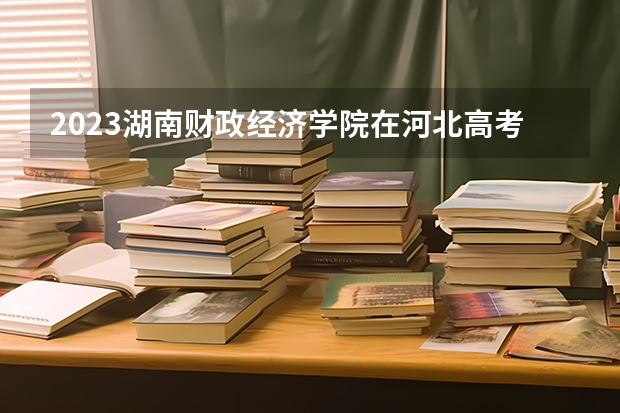 2023湖南财政经济学院在河北高考专业招生计划人数
