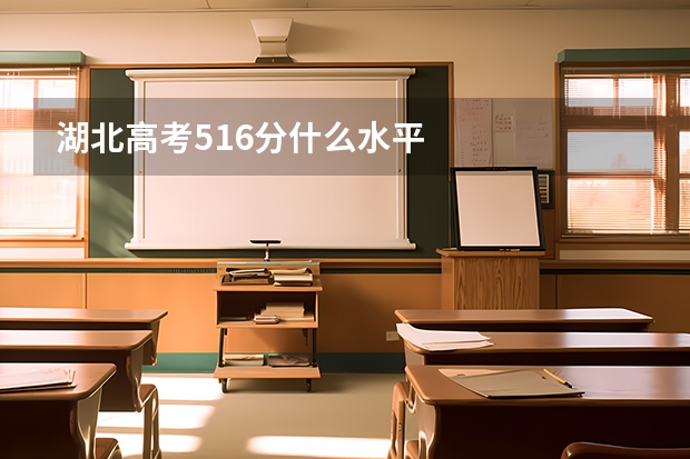 湖北高考516分什么水平