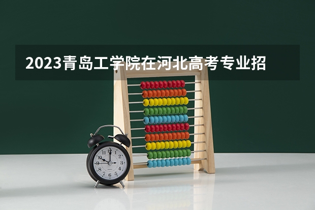 2023青岛工学院在河北高考专业招生计划人数