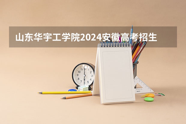 山东华宇工学院2024安徽高考招生计划详解