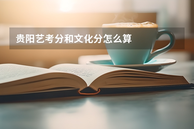 贵阳艺考分和文化分怎么算