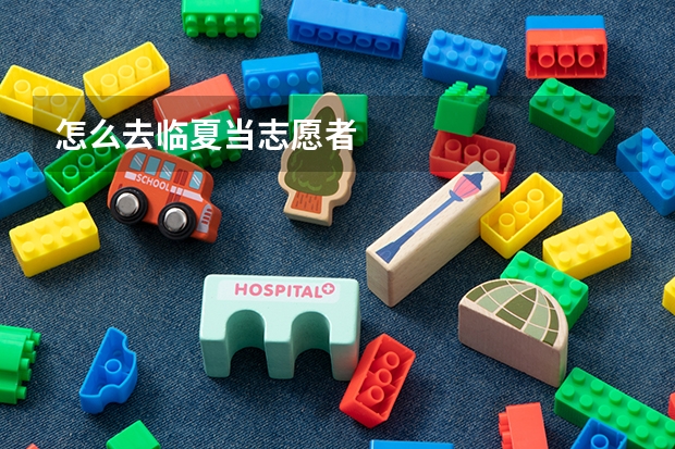 怎么去临夏当志愿者