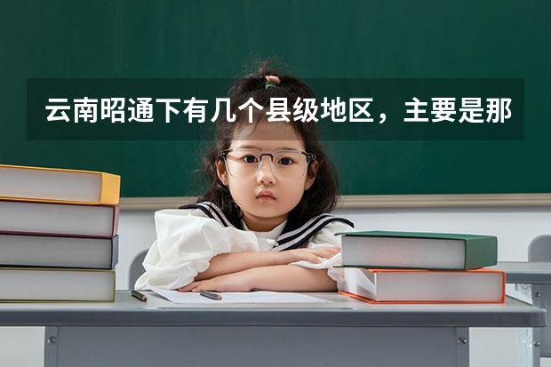 云南昭通下有几个县级地区，主要是那个民族的人，他们的语言是什么语？各有什么风
