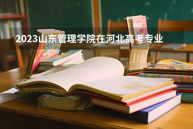 2023山东管理学院在河北高考专业招生计划人数