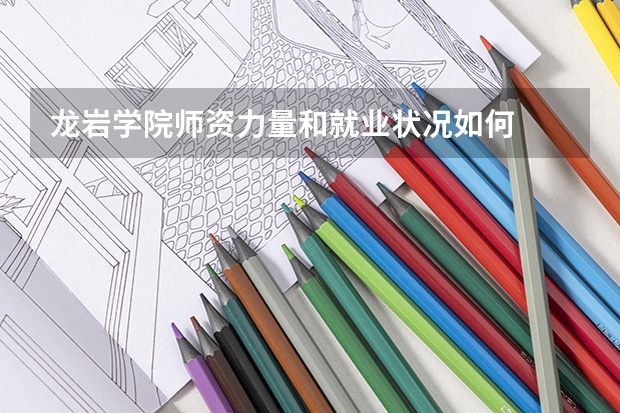 龙岩学院师资力量和就业状况如何