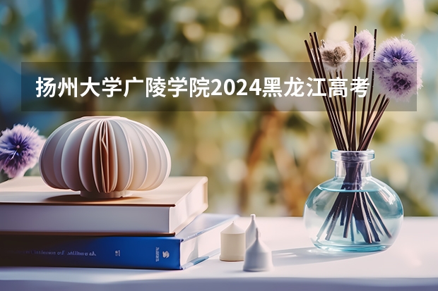 扬州大学广陵学院2024黑龙江高考招生计划详解
