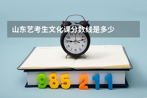 山东艺考生文化课分数线是多少