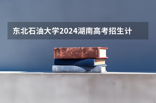 东北石油大学2024湖南高考招生计划详解