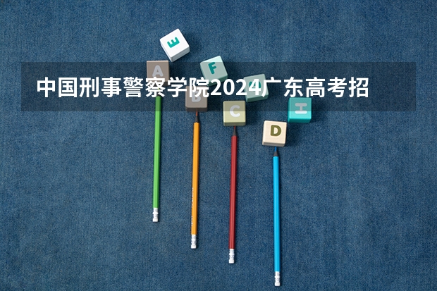 中国刑事警察学院2024广东高考招生计划详解