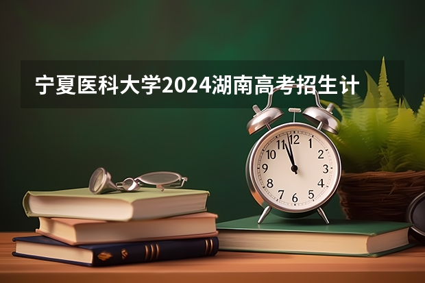 宁夏医科大学2024湖南高考招生计划详解