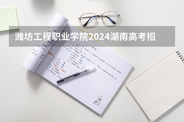 潍坊工程职业学院2024湖南高考招生计划详解